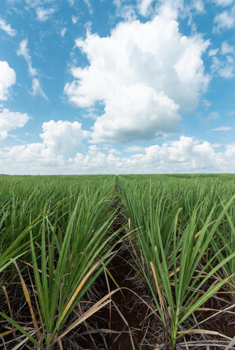 多场景应用演示